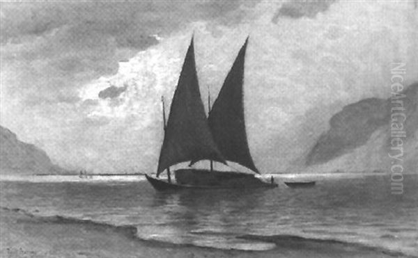 Genferseelandschaft Mit Lastensegler - view 1