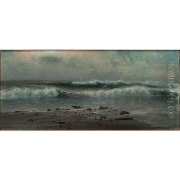 Seashore Scene - view 1