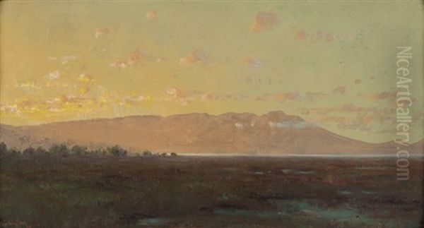 Marshland Landscape - view 1