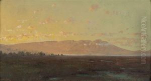 Marshland Landscape