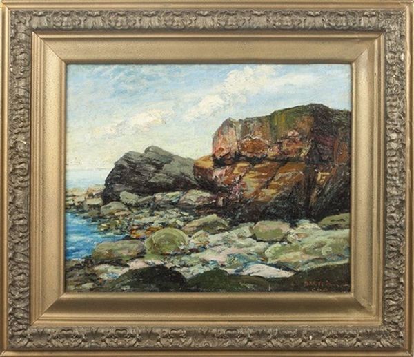 Rocky Coast - view 1