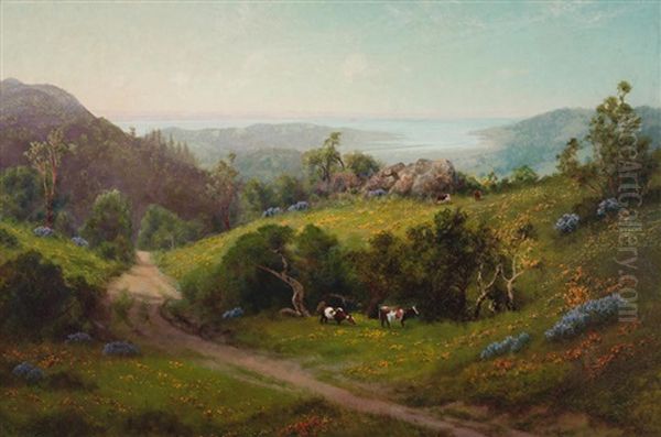 Cattle Grazing Among Wildflowers With A View Of The Bay - view 1