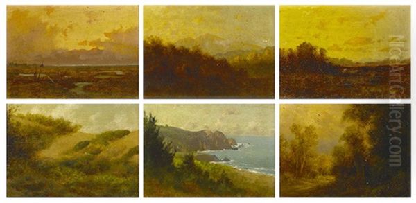Swamps Of The San Joaquin (+ 5 Others; 6 Works) - view 1