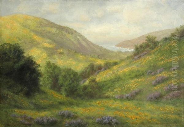 Wildflowers On The Coast - view 1