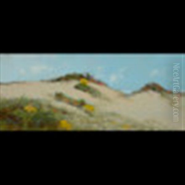 Untitled - Marin Sand Dunes - view 1