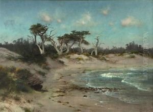 Cypress In A Landscape