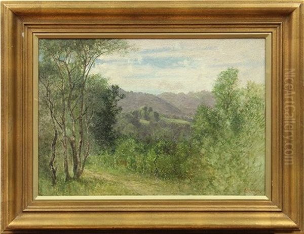 Marin Hills - view 1