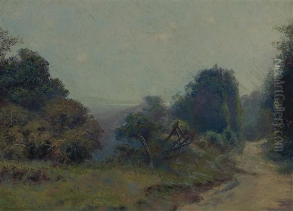 A Road In Marin - view 1