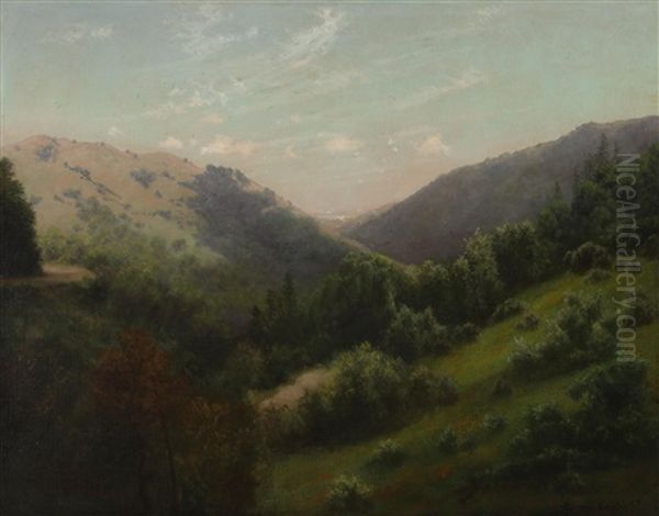 White Hills Canyon, Marin County - view 1