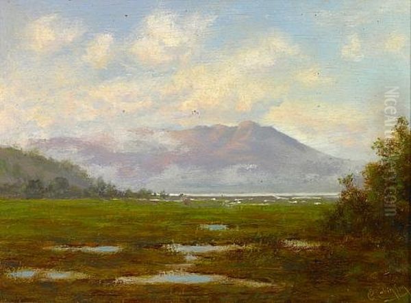 Tamalpais From The Marshes - view 1