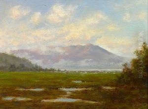 Tamalpais From The Marshes