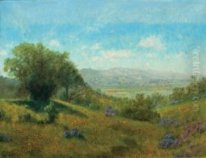 Poppies With Mt. Tamalpais In The Distance