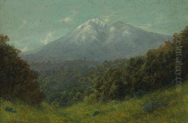 Mt. Tamalpais - view 1