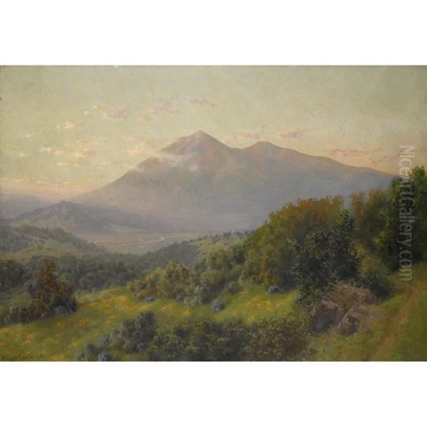 Mt. Tamalpais, California - view 1