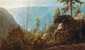 Deer In An Expansive Landscape, Yosemite