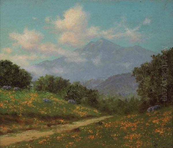 A View Of Mt. Tamalpais From Near Ross - view 1