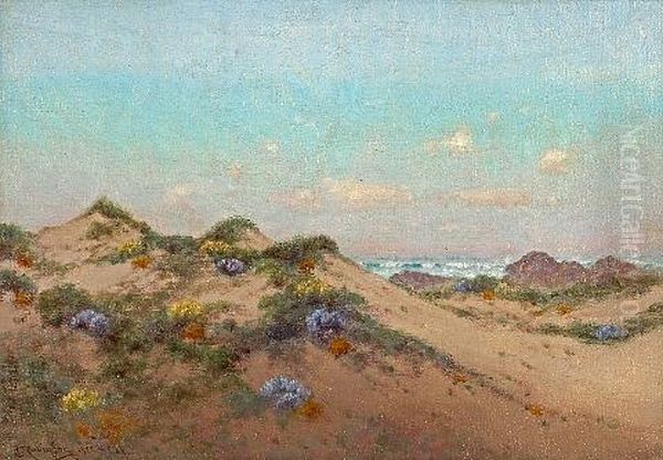 Summer Sand Dunes - view 1