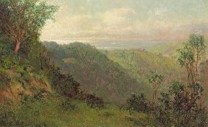 A Swale In Marin