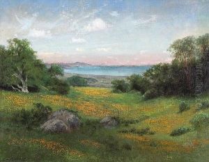 A View Of The Coast With Rolling Hills And Poppies