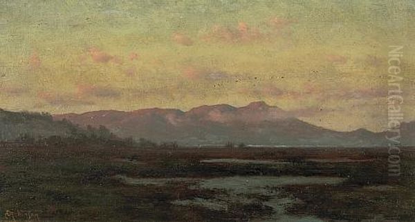 A Marsh At Sunset With Mount Tamalpais In The Distance - view 1