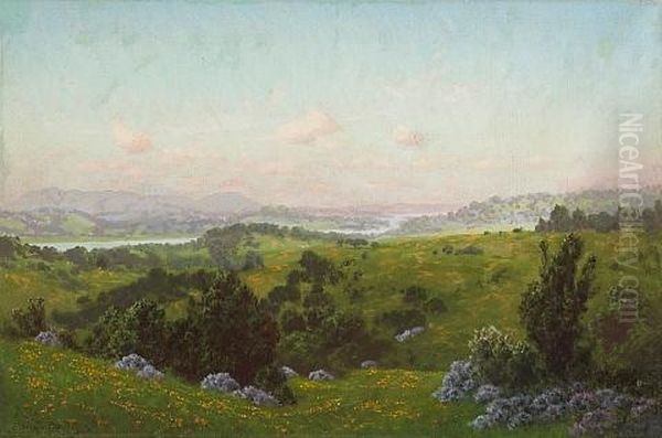 A Blooming Hillside With A River In The Distance - view 1
