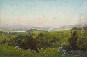 A Blooming Hillside With A River In The Distance