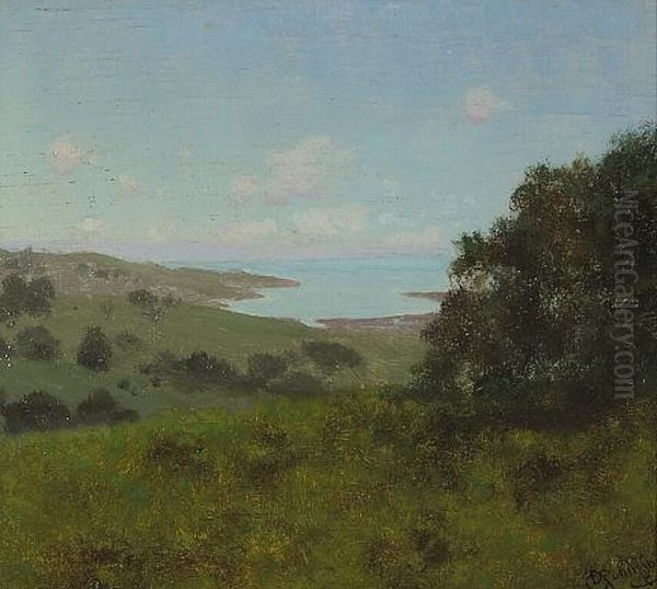 Coastal View With Rolling Hills - view 1