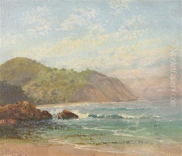 Coastal View - view 1
