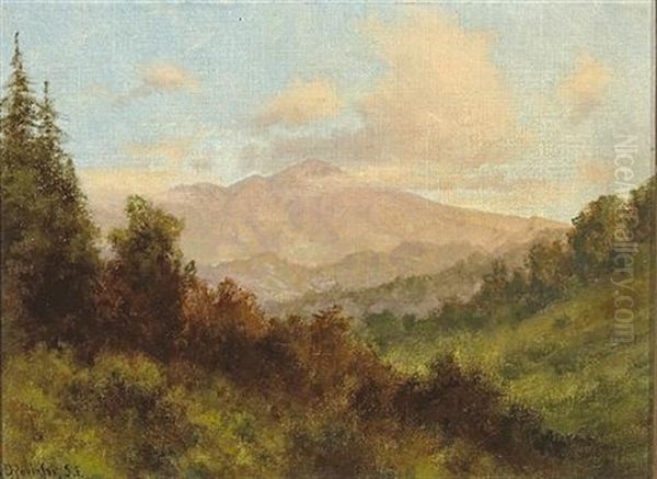 Mt. Diablo From Lafayette Pass - view 1