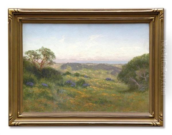 Hillsides Of Marin, Poppy Time - view 1