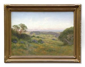 Hillsides Of Marin, Poppy Time by Charles Dorman Robinson