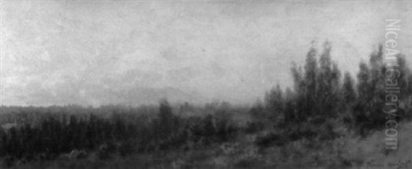 Looking Toward Tamalpais Near San Leandro In Dec. 1874 - view 1