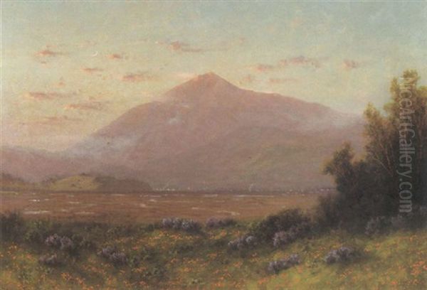 A View Of Mt.tamalpais From Larkspur - view 1