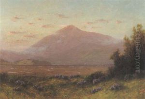 A View Of Mt.tamalpais From Larkspur