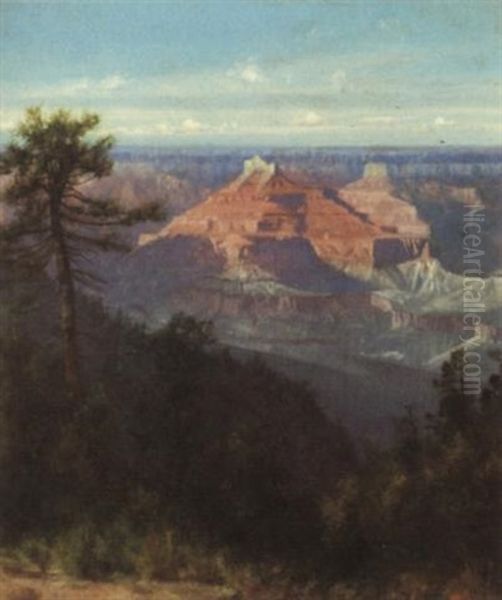 The Grand Canyon Of Arizona - view 1