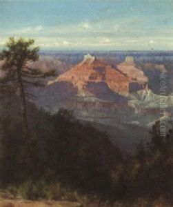 The Grand Canyon Of Arizona