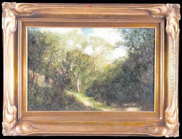 Wooded Landscape - view 1