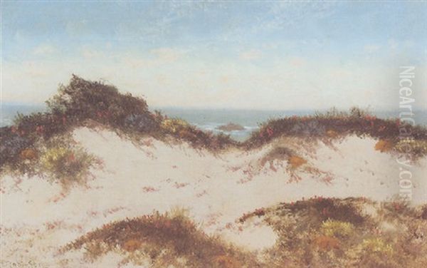 Flowering Dunes, Carmel - view 1