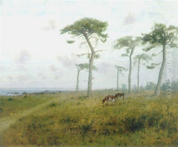 Monterey - view 1