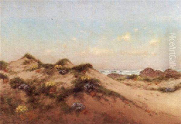 Flowering Dunes, California - view 1
