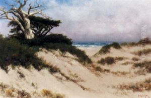 Monterey Sand Dunes by Charles Dorman Robinson