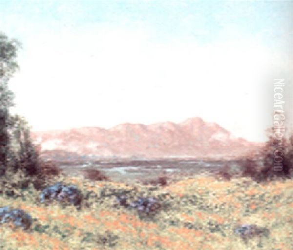 Tamalpais And Marin Marshes, California In "poppy Time" - view 1