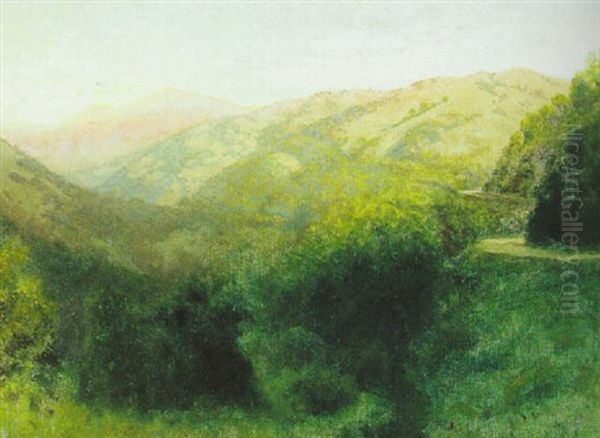 Early Twilight On White Hill Grade - view 1