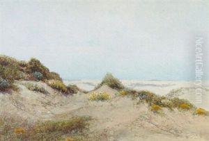 Flowering Dunes by Charles Dorman Robinson