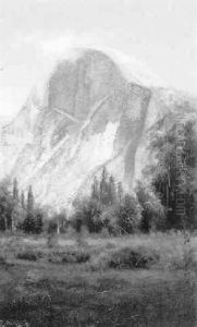 View Of Half-dome, Yosemite by Charles Dorman Robinson