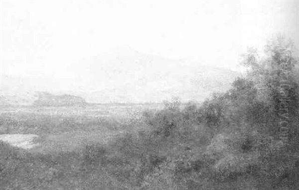 Mt. Tamalpais From Greenbrae - view 1