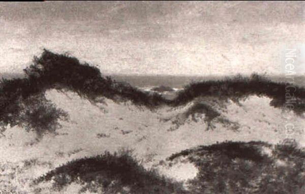 Sand Dunes - view 1