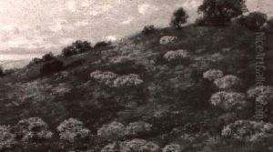 Wildflowers Along The Coast