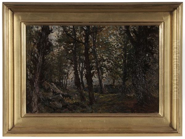 Woodland Landscape - view 1