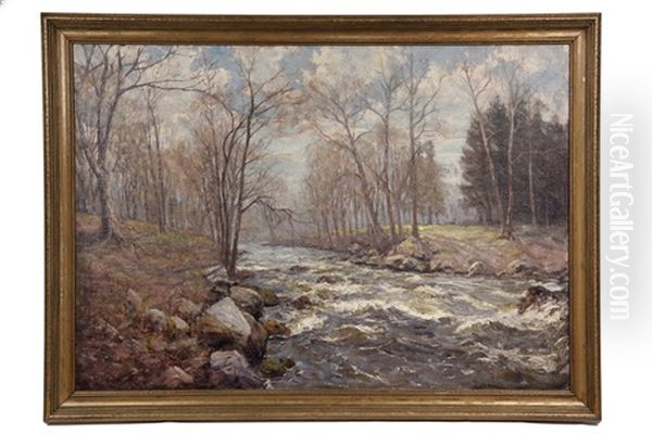 Early Spring Ice Melt Stream - view 1